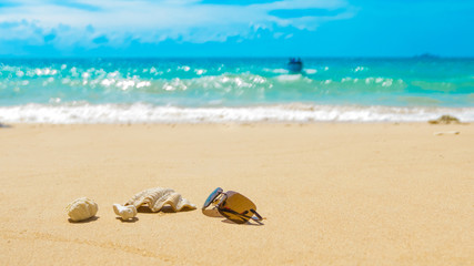 Fototapeta na wymiar Sunglasses shell coral reef on sandy beach, incoming boat reachi