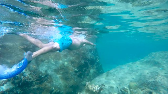 young man snorkeling underwater in Virgin Gorda, British Virgin Islands