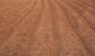 Soil preparation for planting crops
