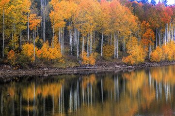 Kolob Reservoir Autumn Reflection