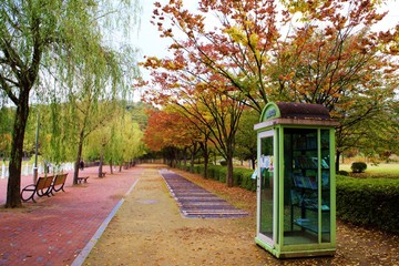 가을의 공원과 도서관