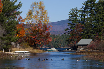 Fototapeta premium Squam Lake Autumn