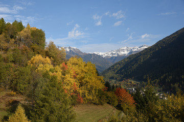 Fototapeta na wymiar paesaggio autunnale montagne montagne colori autunno piante alberi 