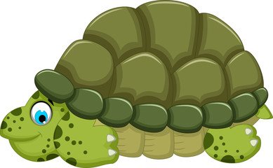 cute turtle cartoon walking