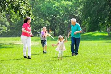 Naklejka na ściany i meble Grandchildren And Grandparents Flying Kite In Park