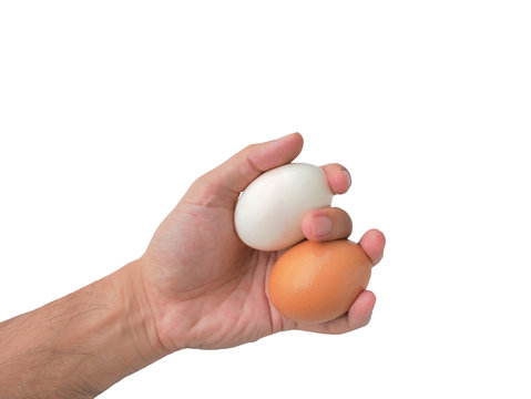 Holding a chicken or hen egg and a duck egg in one hand at the s