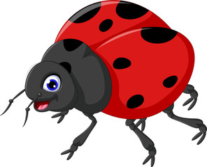 Fototapeta premium Cute ladybug cartoon for you design