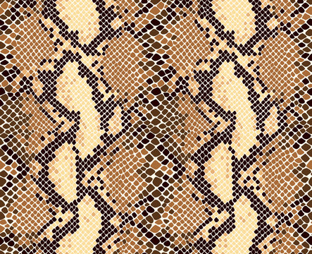 Snakeskin animal print seamless vector pattern.