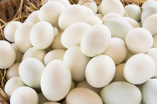 Duck eggs in basket