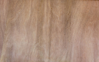 Raw Brown Wood pattern Texture before paint