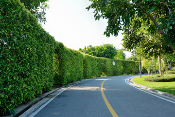 Obraz premium Country cottage garden path,Thailand.