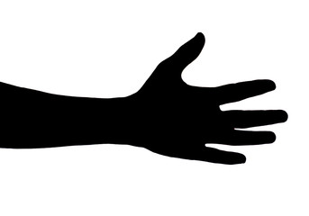 Hands on a white background