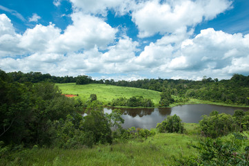 Fototapeta na wymiar Green meadow under blue sky with clouds,Landscape field and sky