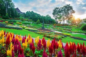 Tischdecke Garden flowers, Mae fah luang garden locate on Doi Tung in Chian © tawatchai1990