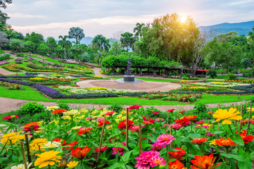 Garden flowers, Mae fah luang garden locate on Doi Tung in Chian