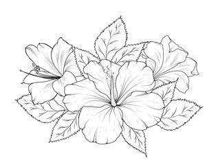 Hibiscus and lily flowers bouquet garland composition. Isolated black and white detailed vector design sketch drawing. Bunch of spring summer flowers. Botanical illustration.