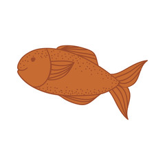 fish icon. sea food design. vector illustration