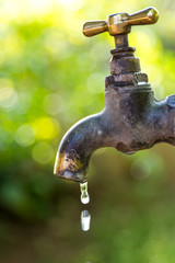 Brass water tap in nature background.