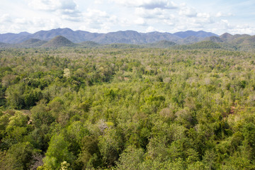 Fototapeta na wymiar Landscape of forest and mountain in Thailand.