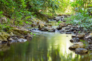 Landscape of canal in forest in Thailand.