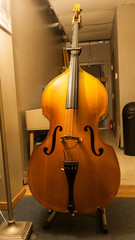 Bass Fiddle