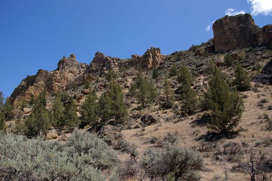 Craggy Rhyolite Ridge