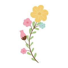 decorative colorful flowers icon over white background. vector illustration