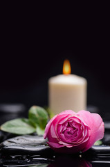 Fototapeta na wymiar Still life with green leaf with rose with candle and therapy stones 