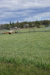 Self propelled irrigation sprayers