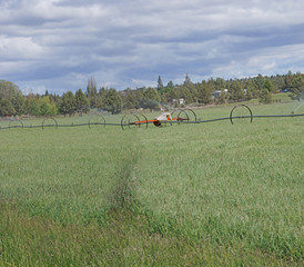 Self propelled irrigation sprayers