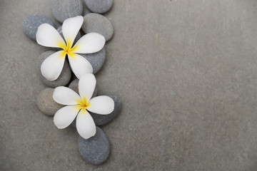 Two frangipani, with pile stones on grey background.

