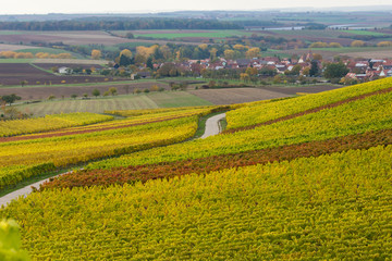 Herbstliche Weinberge
