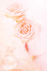 rose flower bouquet.jpg