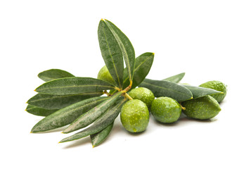 Green olives with leaves