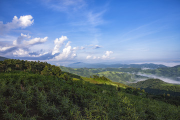 Mountain after raining with the fog.Doi Pha Mee, Chiang Rai, Tha