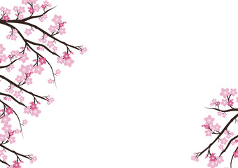 Obraz na płótnie Canvas Cherry blossom flowers background. Sakura pink flowers backgro