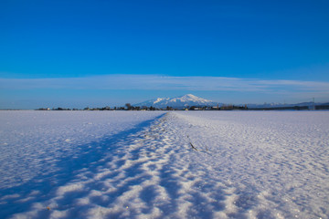 雪原と鳥海山