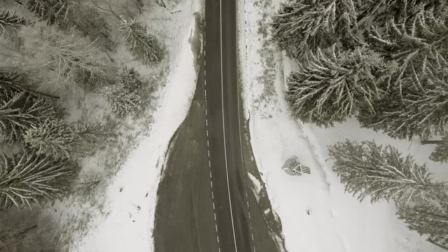 aerial view of road through winter forest with frosty trees and low clouds
