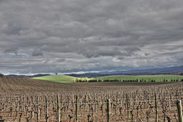 Vignoble du Malepère, Razès