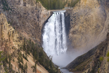 Lower fall of Yellowstone National Park