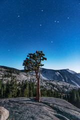 Beautiful stars over Yosemite