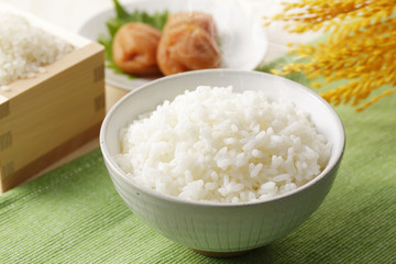 炊きたてのご飯　Japanese rice