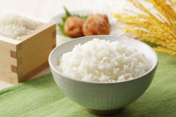 炊きたてのご飯　Japanese rice
