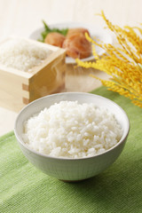 炊きたてのご飯　Japanese rice