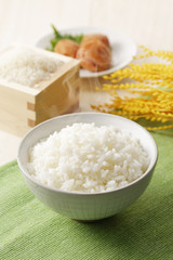炊きたてのご飯　Japanese rice