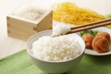 炊きたてのご飯　Japanese rice