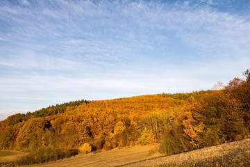 Beautiful colorful autumnal forest and pasture under blue sky