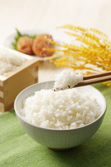 炊きたてのご飯　Japanese rice