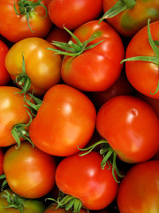 Red fresh tomatoes closeup