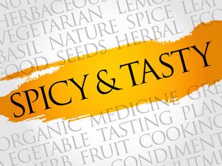 Spicy and tasty word cloud collage, food concept background